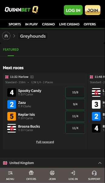 Quinnbet Ireland Greyhound betting
