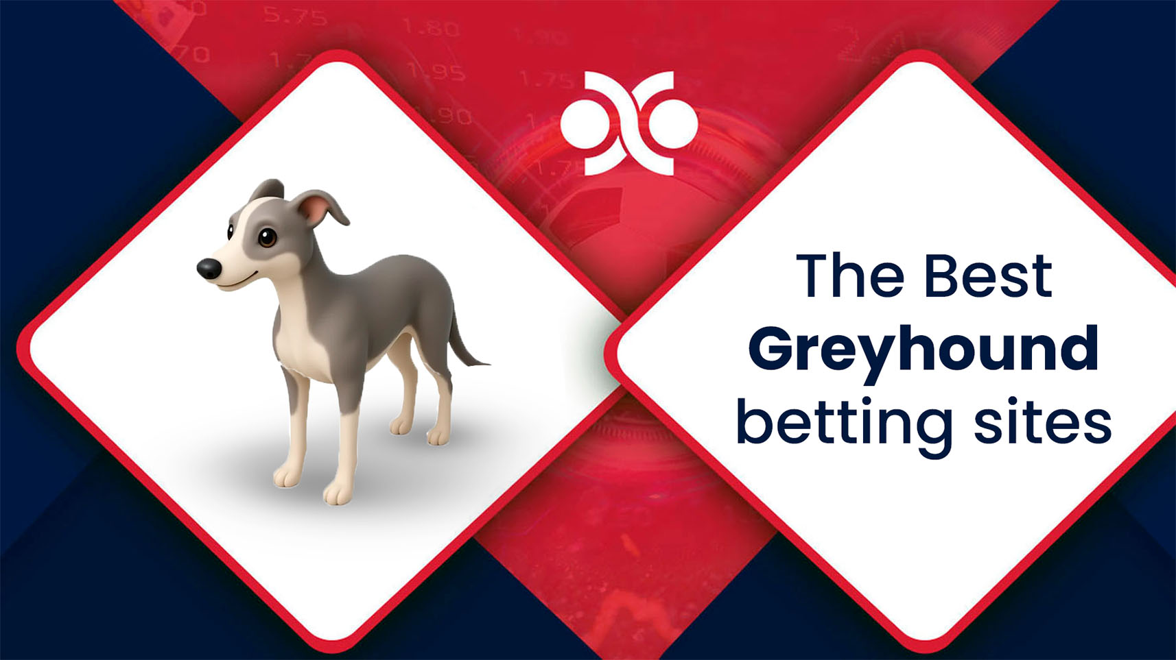 The best Greyhound betting sites Ireland